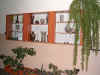 PIC_0061.JPG (117735 bytes)